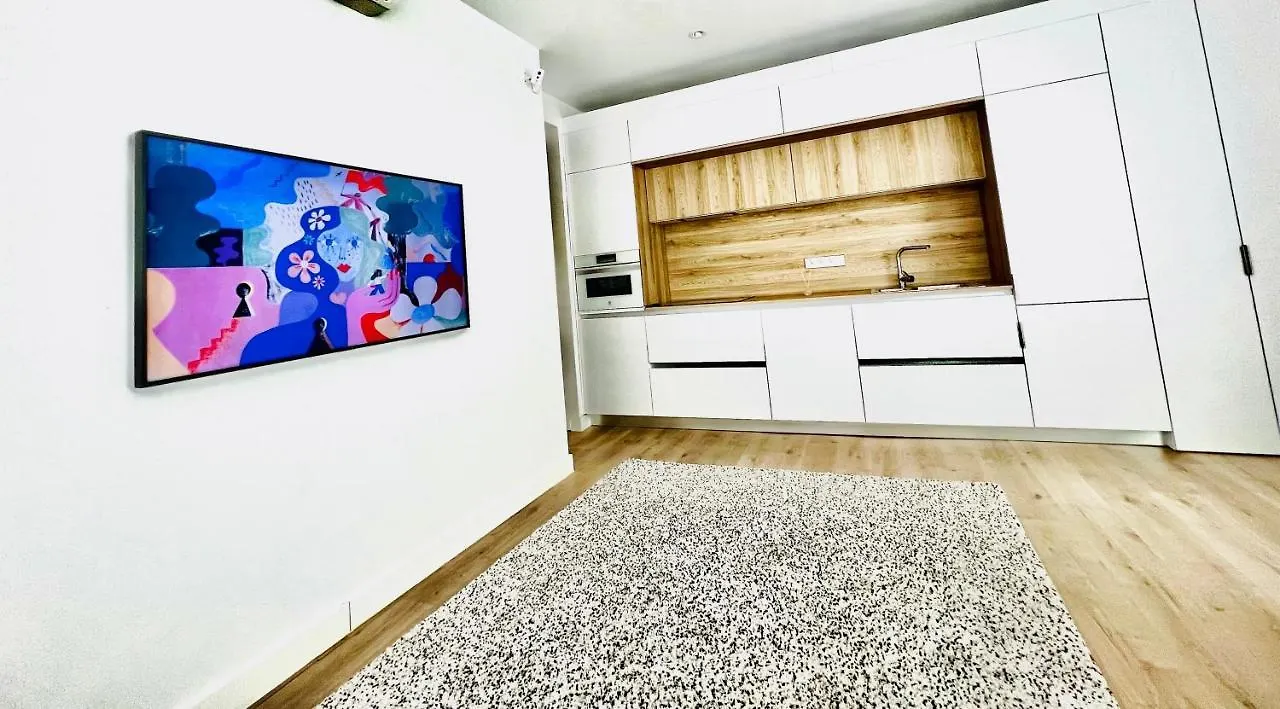 Best Loft Near Real Madrid Stadium Spain