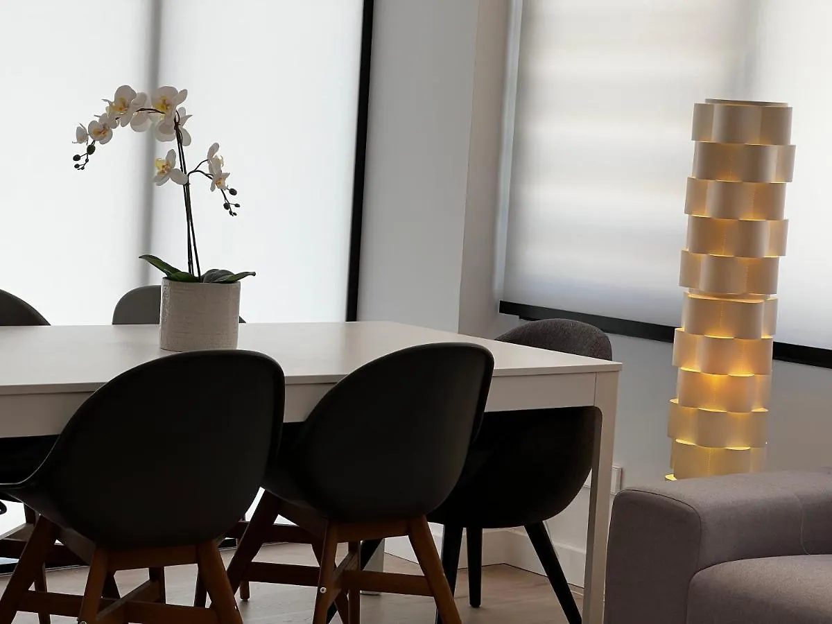 Apartment Best Loft Near Real Madrid Stadium Spain