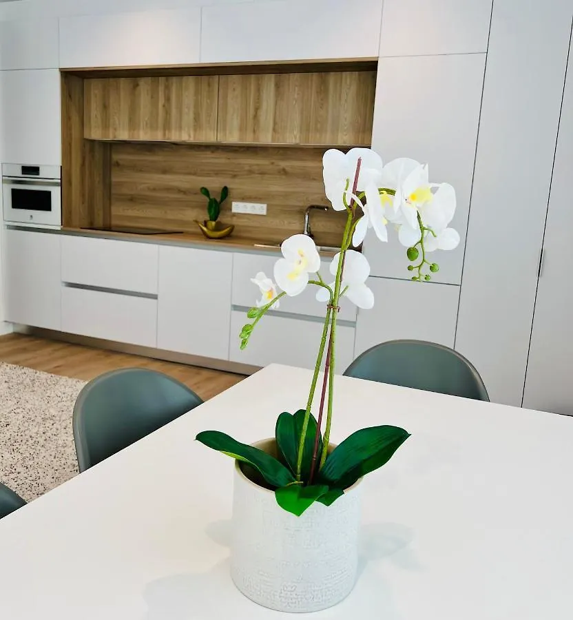 Διαμέρισμα Best Loft Near Real Madrid Stadium